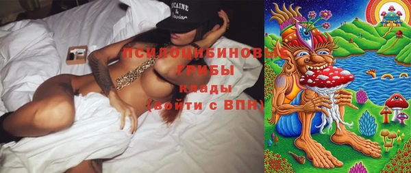 шишки Заволжск