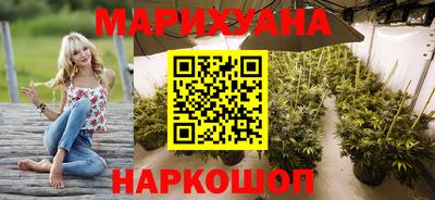 сатива Балахна