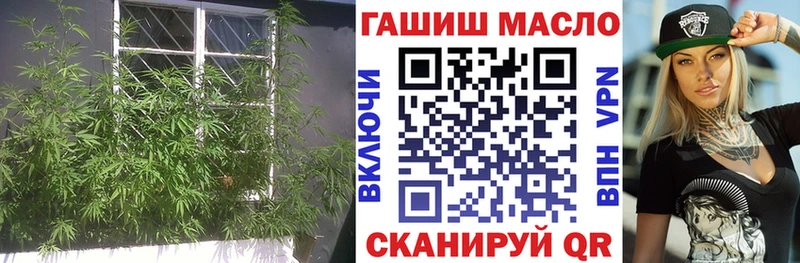 закладки  Гагарин  ТГК THC oil 