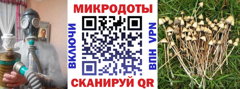 блэк спрут ссылка цена наркотик Гагарин Галлюциногенные грибы GOLDEN TEACHER