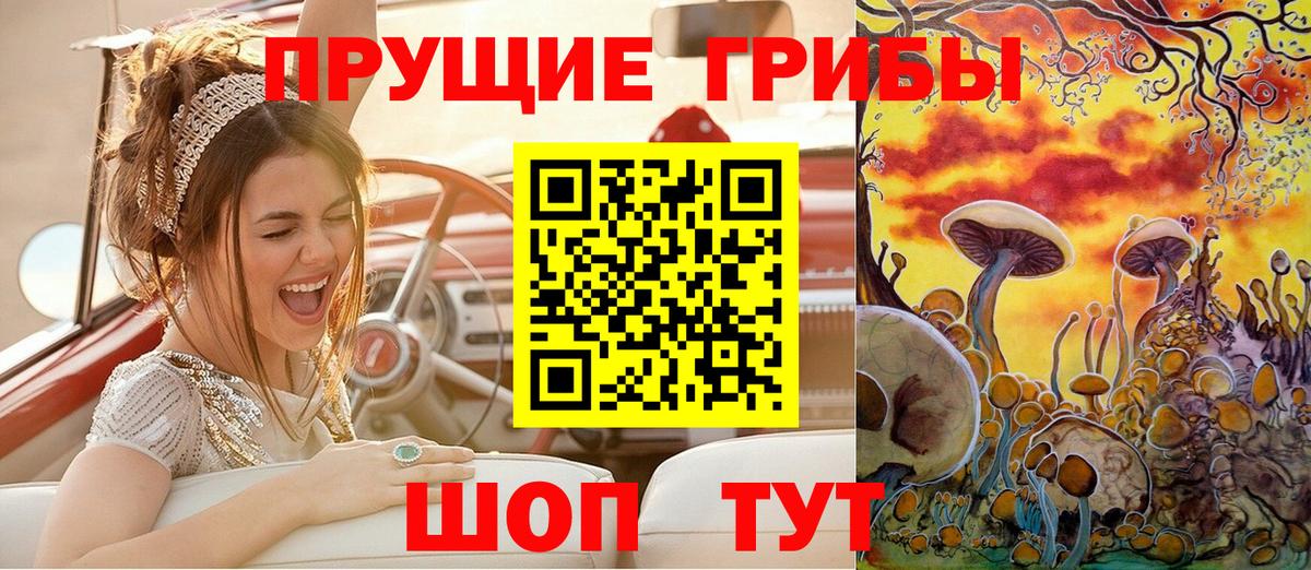 Псилоцибиновые грибы мицелий Гагарин