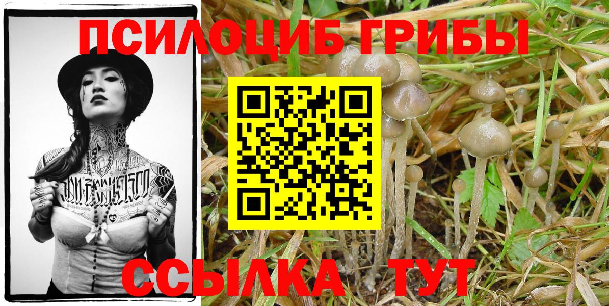 дарнет шоп  Вход с VPN  Гагарин  Псилоцибиновые грибы Magic Shrooms 